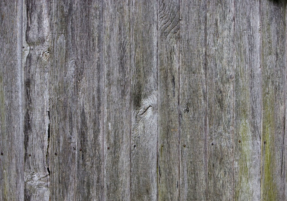 Discoloured fence